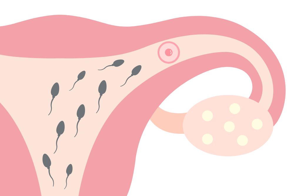 Rus seks xotini erini ezib